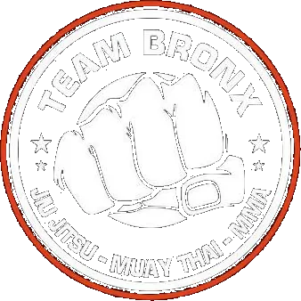 Team Bronx